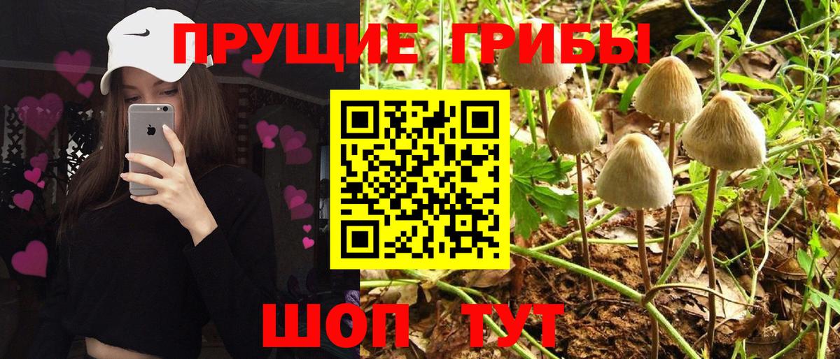 Галлюциногенные грибы ЛСД Дзержинский