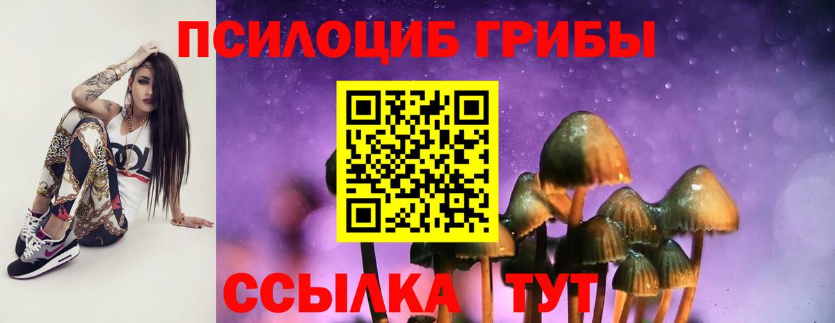 Дзержинский  Галлюциногенные грибы Psilocybine cubensis  Вход с VPN 